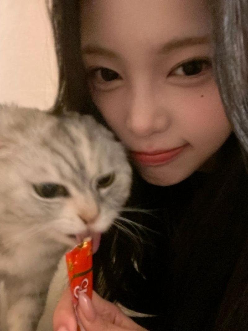 하츠투하츠 이안