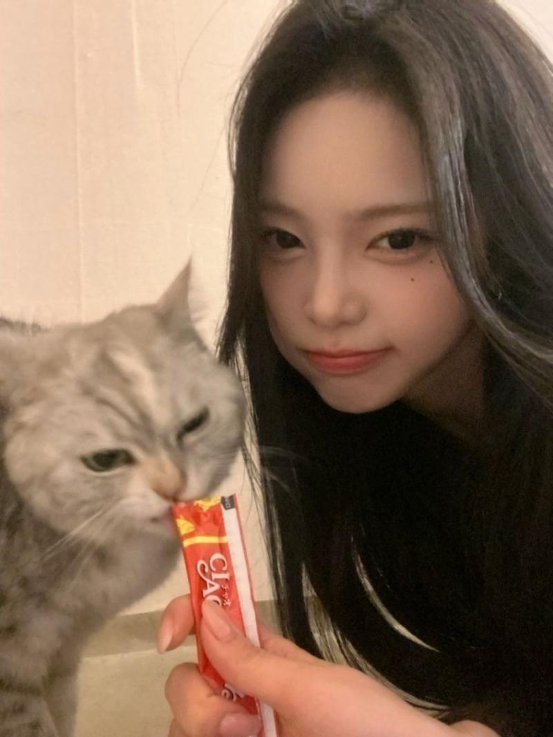 하츠투하츠 이안