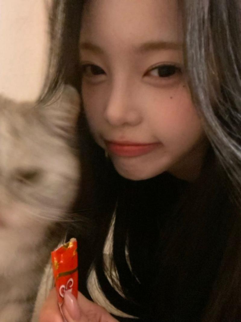 하츠투하츠 이안