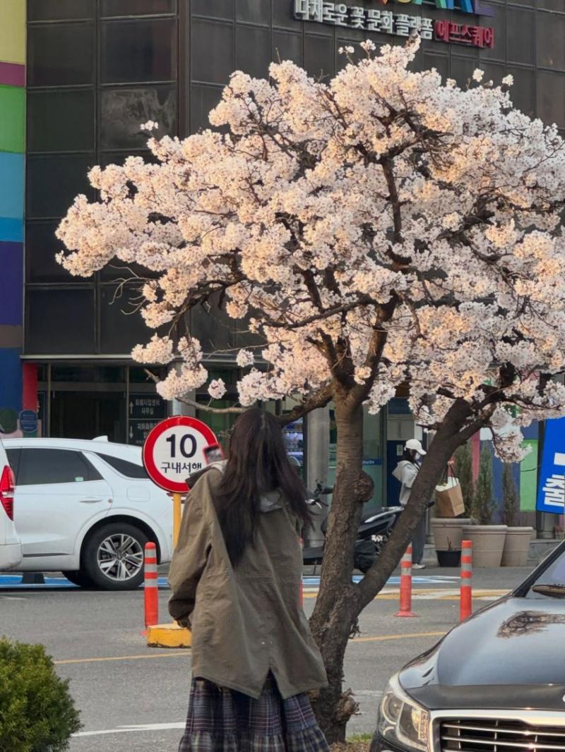 노윤서 인별