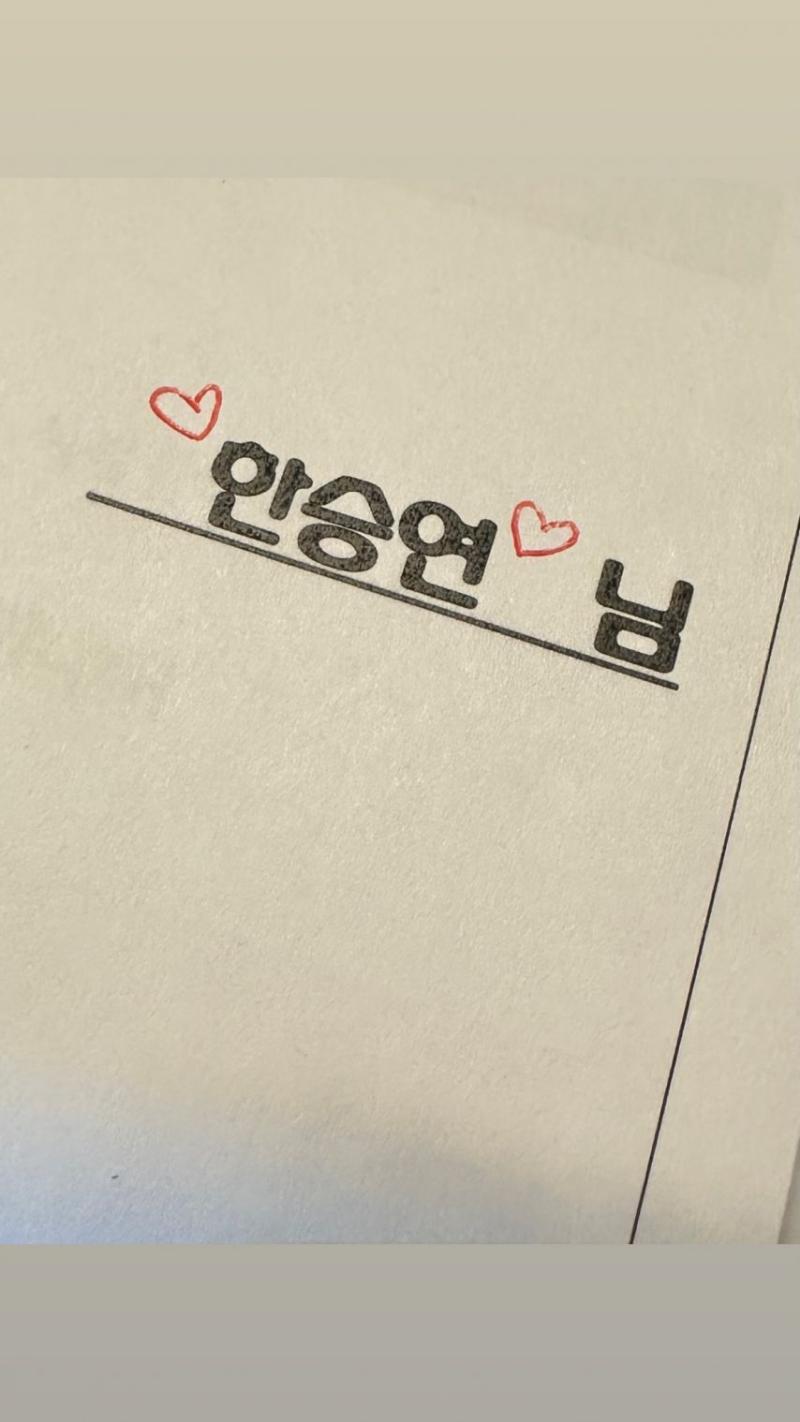 한승연 KARA카라 인별