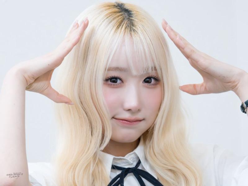 세이마이네임 메이