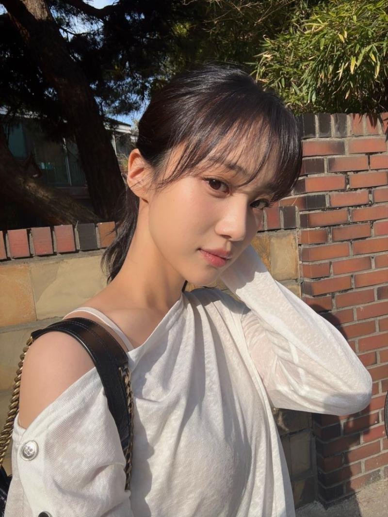 홍화연