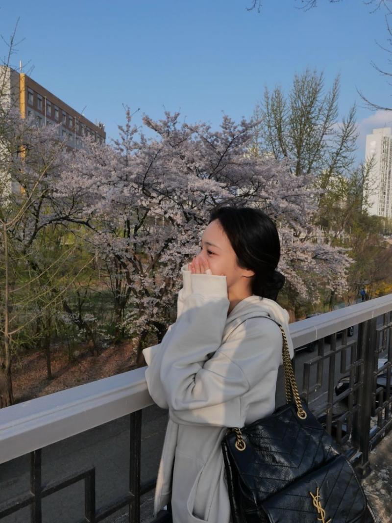 홍화연