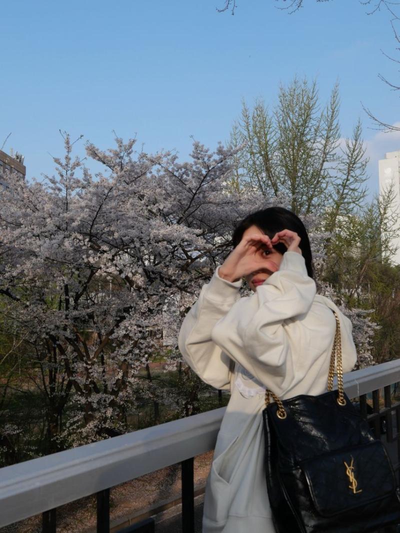 홍화연