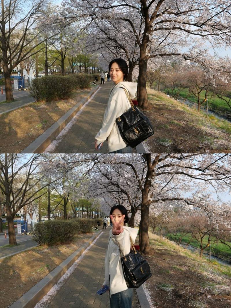 홍화연