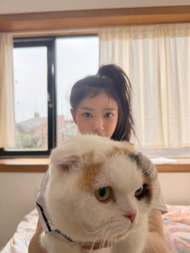 아일릿 모카