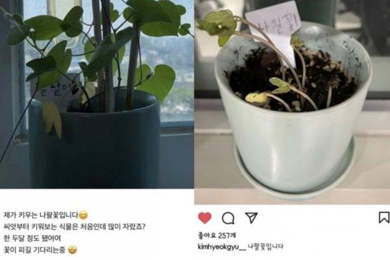 프로게이머 데프트 & 배우 양혜지 열애