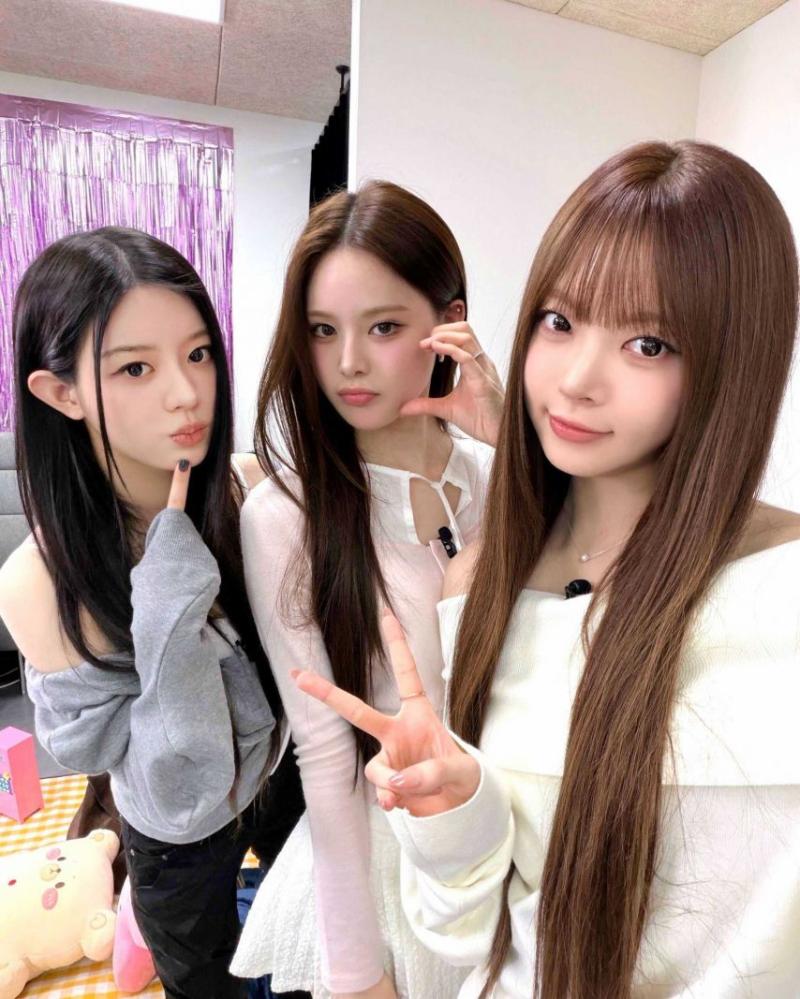 아일릿 민주