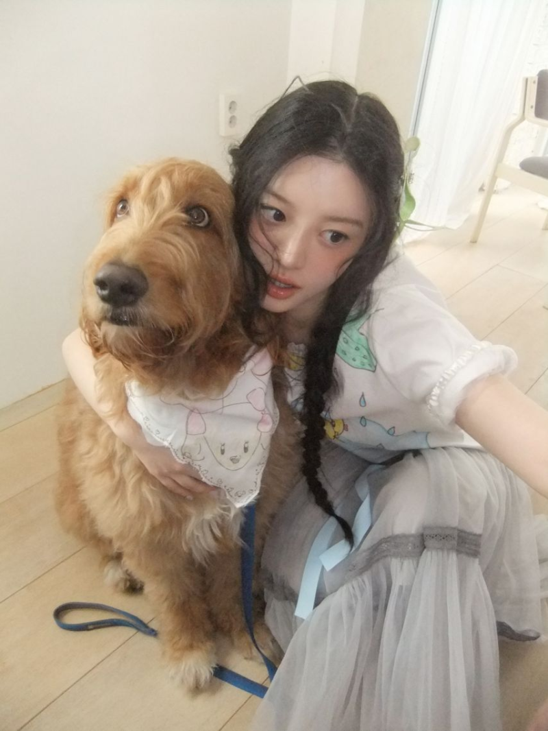 아일릿 민주