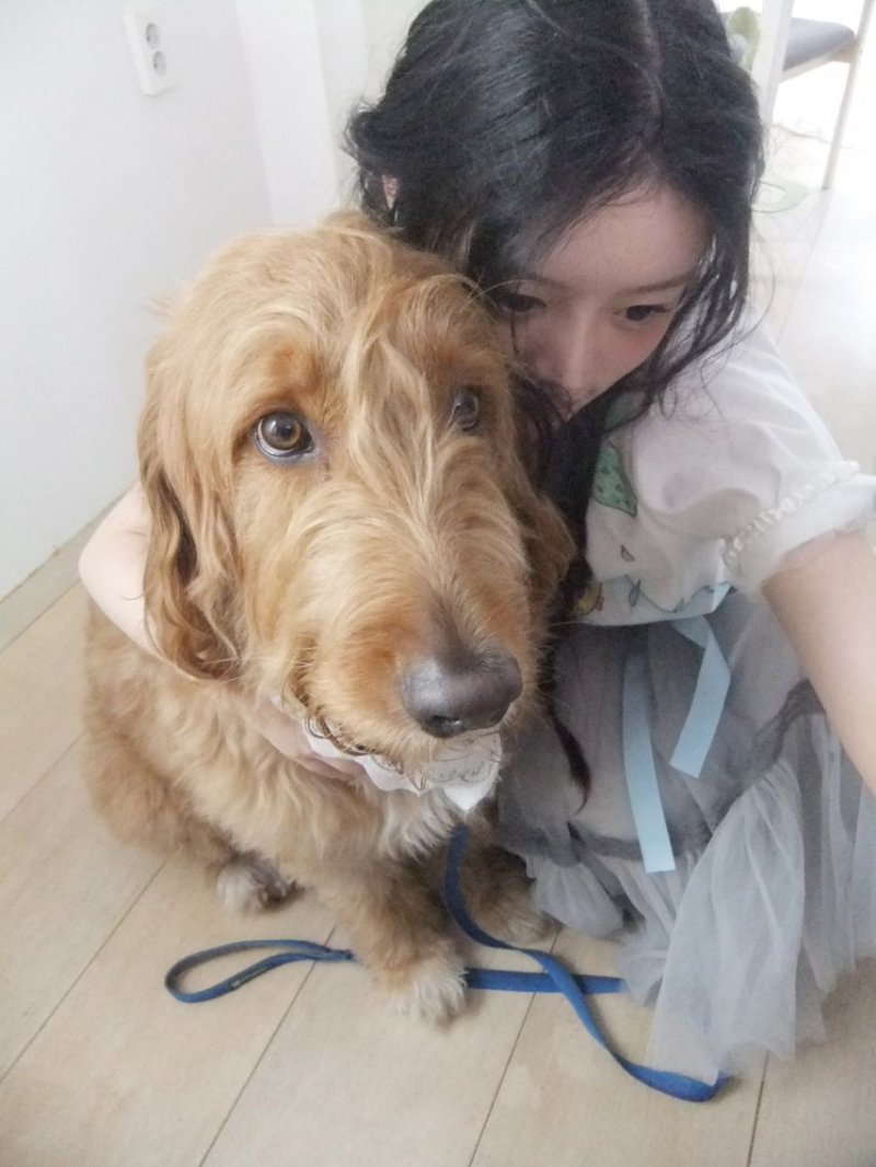 아일릿 민주