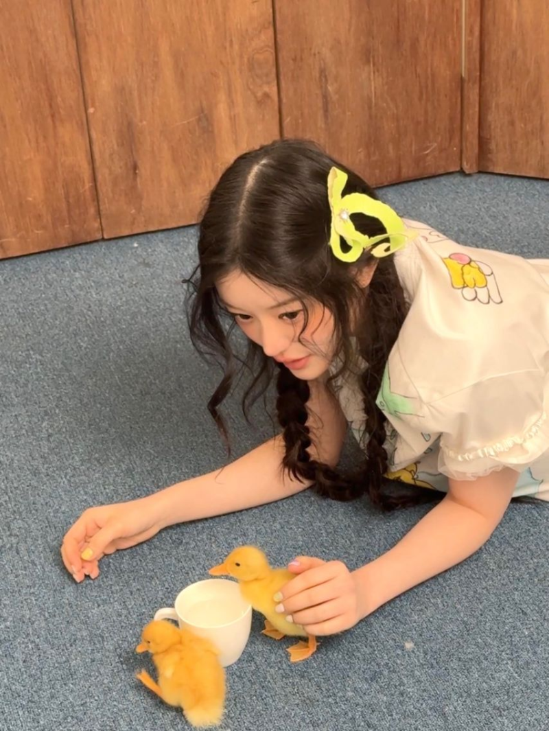 아일릿 민주