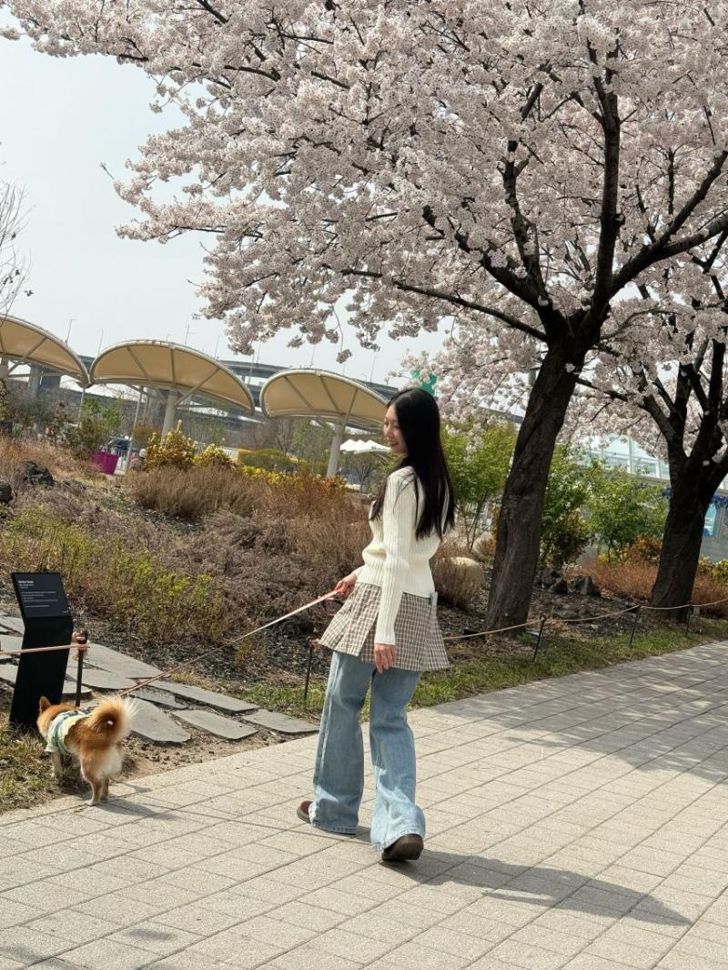 공승연 인별