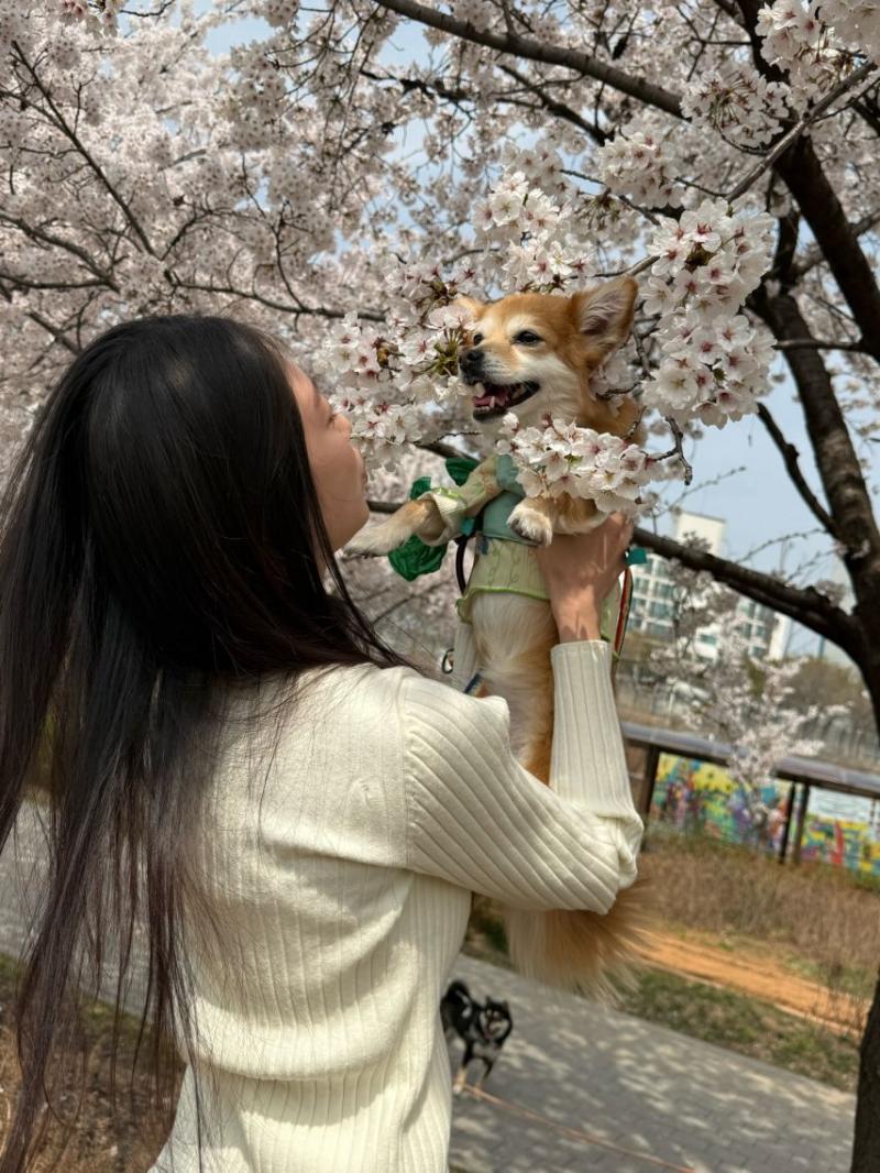공승연 인별