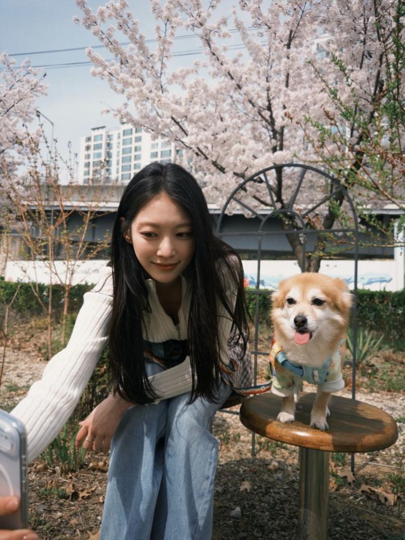 공승연 인별