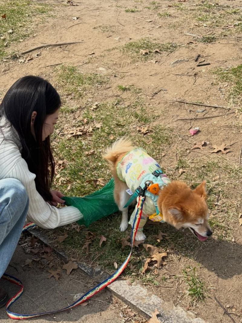 공승연 인별