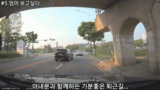 도로위 '분노조절 잘해'