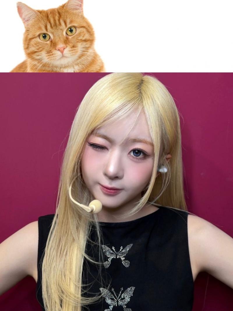 앳하트