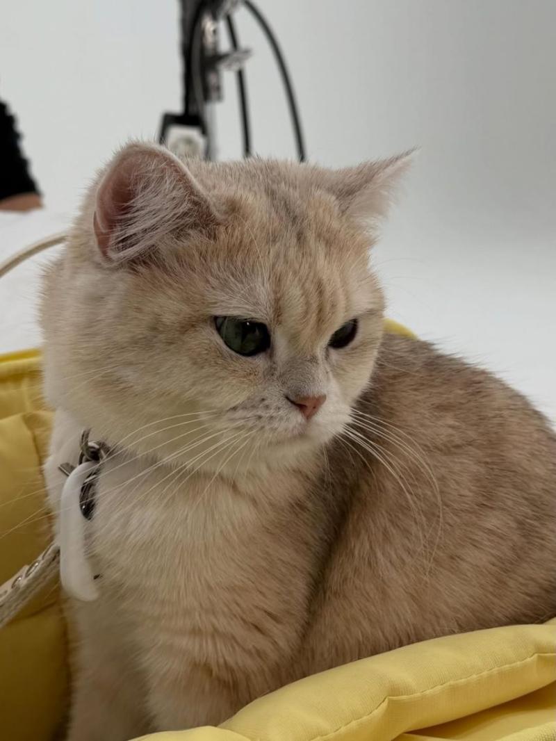 최희진 SNS