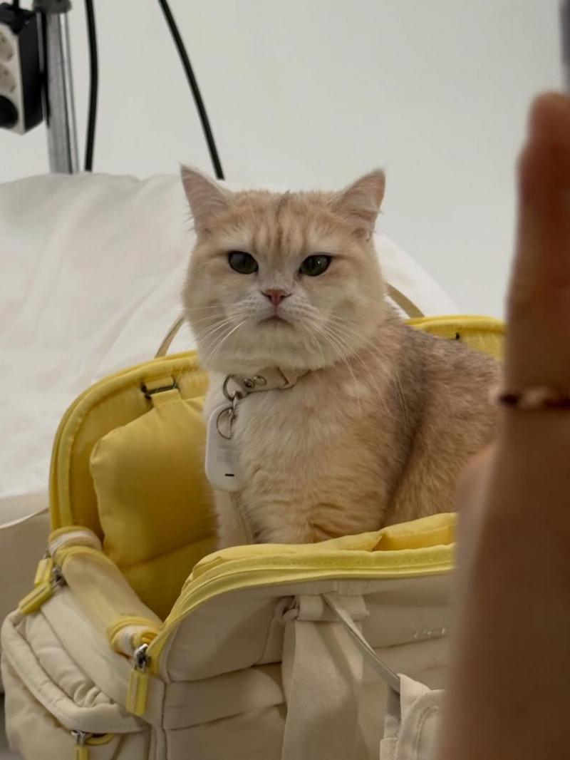 최희진 SNS