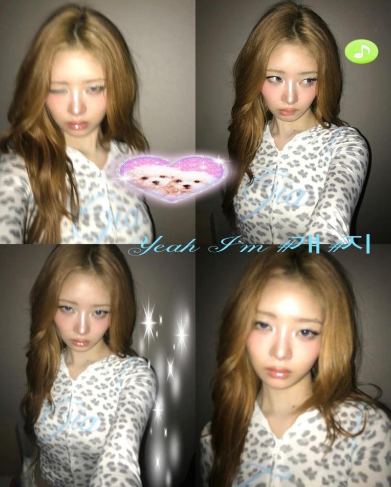 아이브 레이
