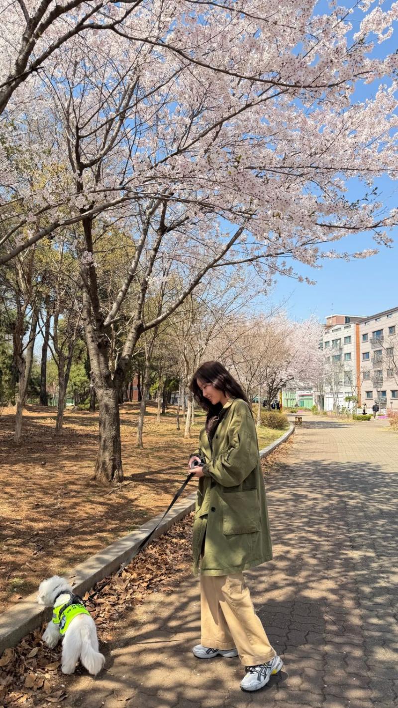 임수향 인별