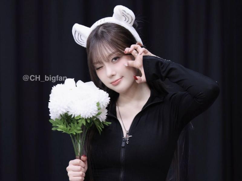 케플러 김채현