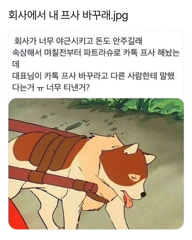 회사에서 카톡 내 프사 바꾸래.jpg