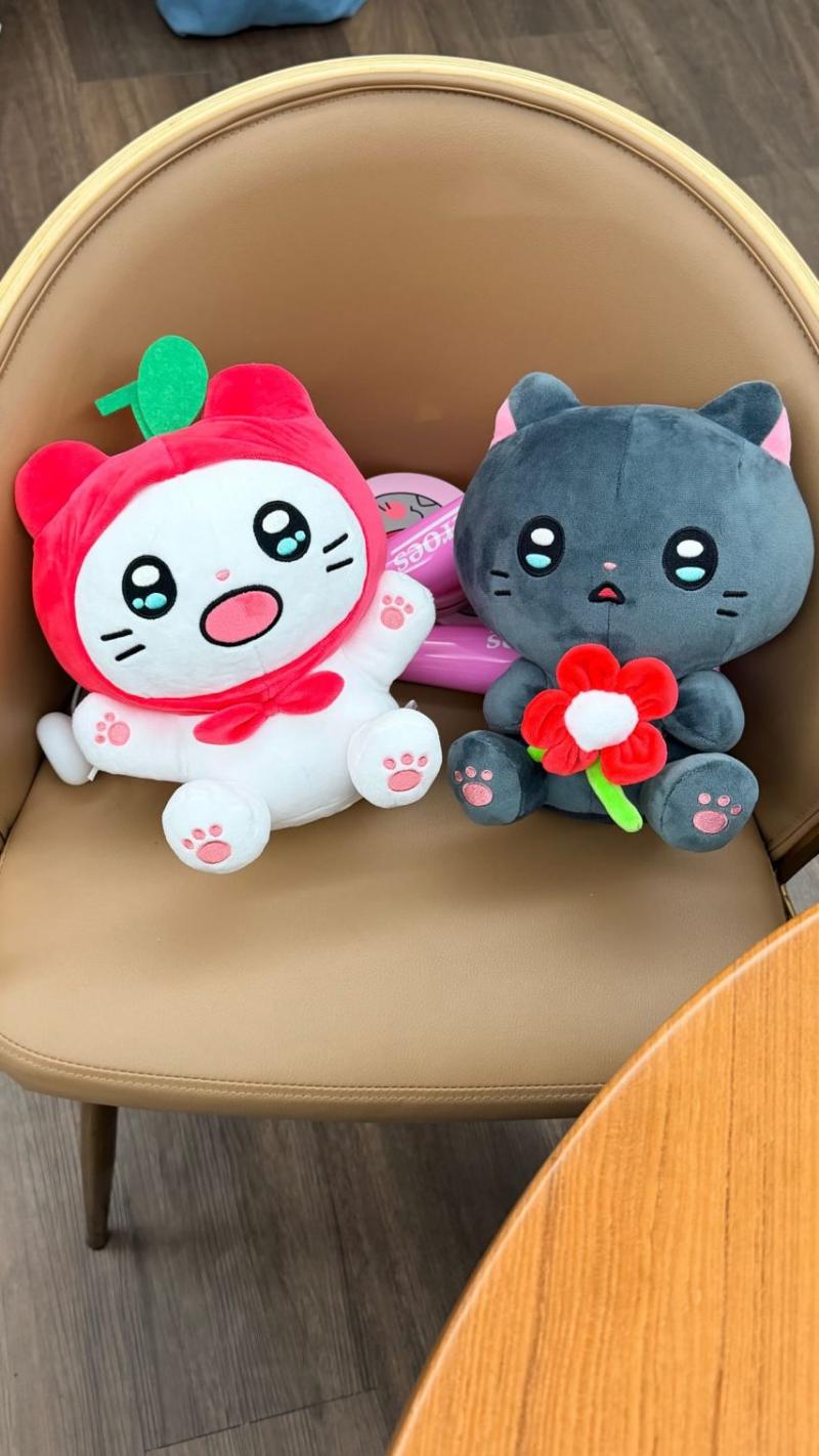 조이 레드벨벳 인별 등 키움