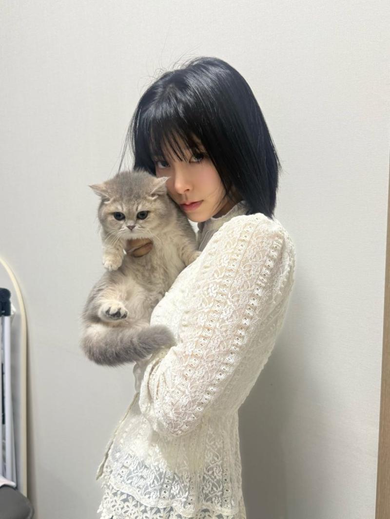 신수현 인별