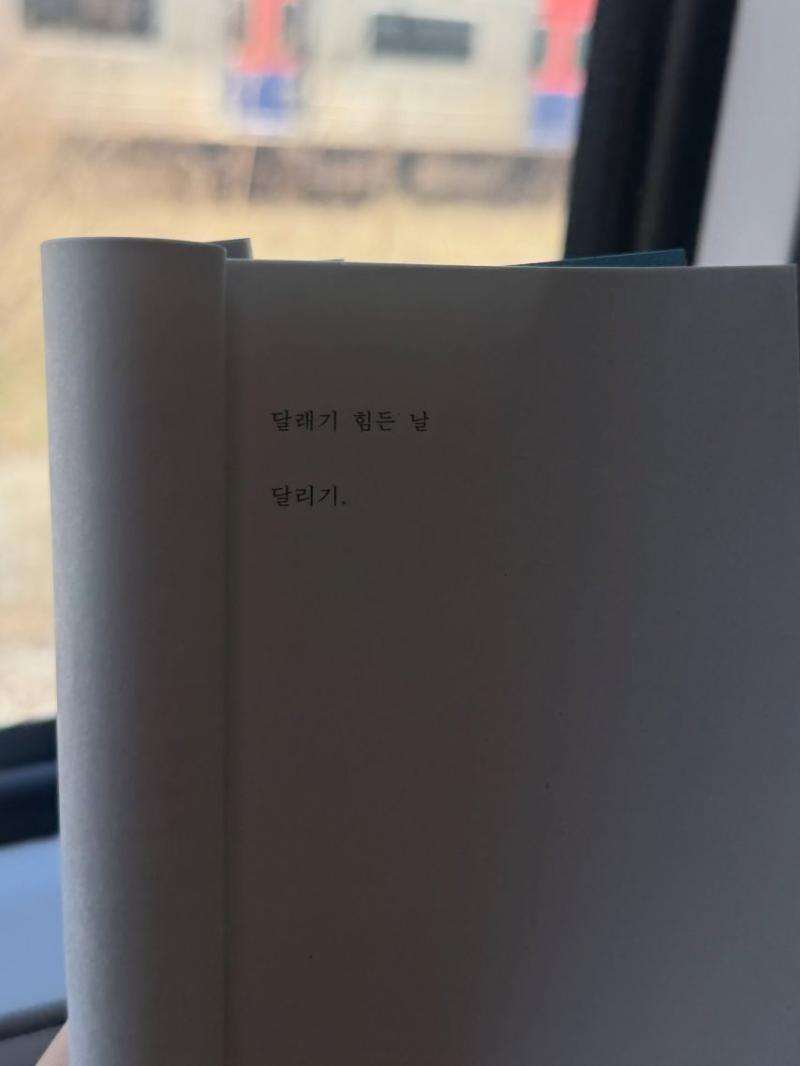 신수현 인별