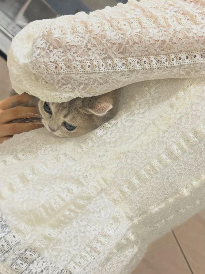 신수현 인별