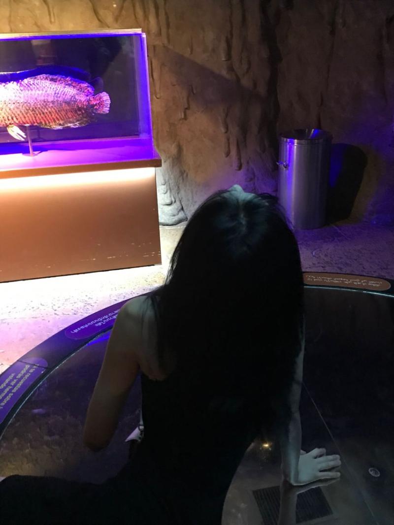 베이비몬스터 아현
