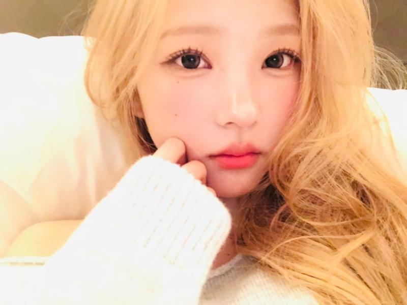 하츠투하츠 스텔라