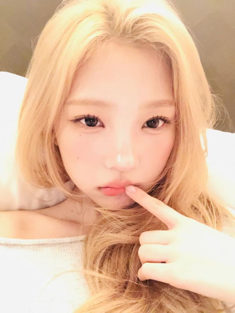 하츠투하츠 스텔라