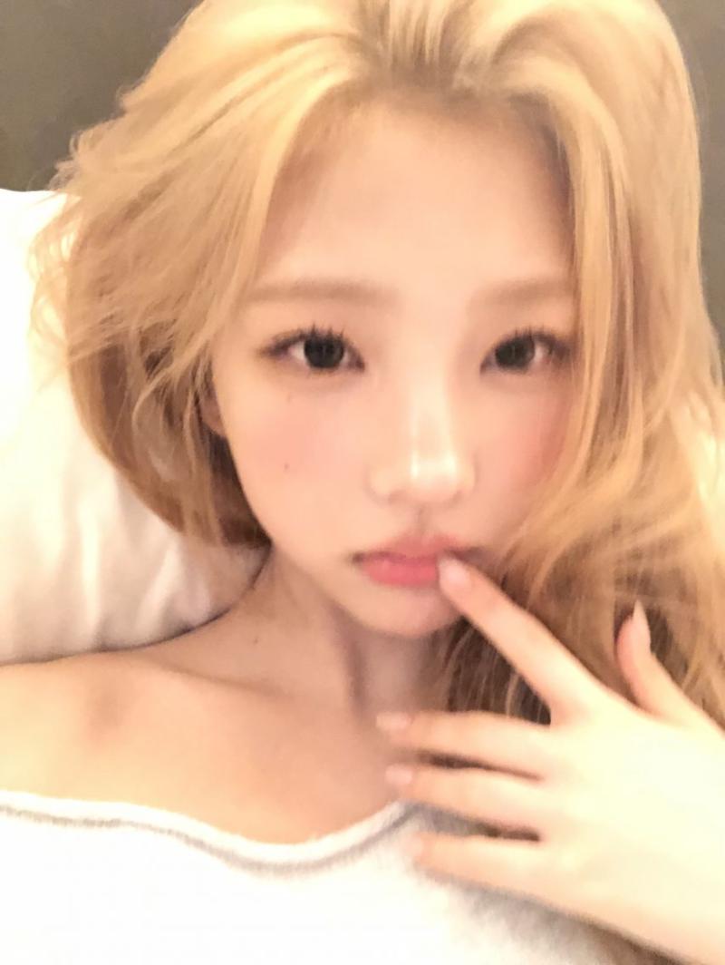 하츠투하츠 스텔라