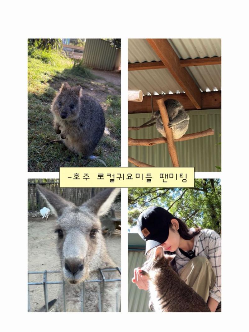 박세현