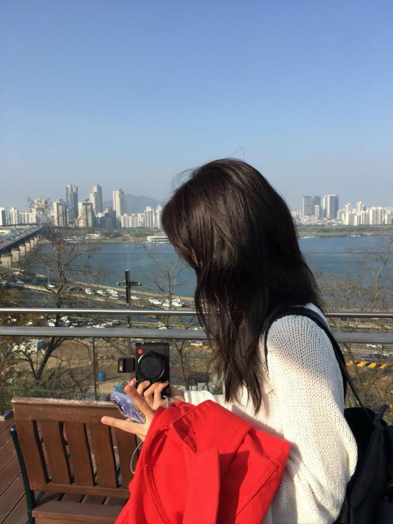 홍화연