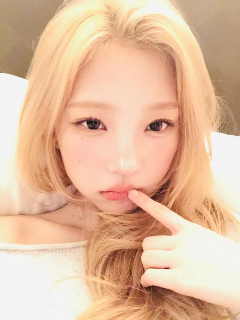 하투하 스텔라