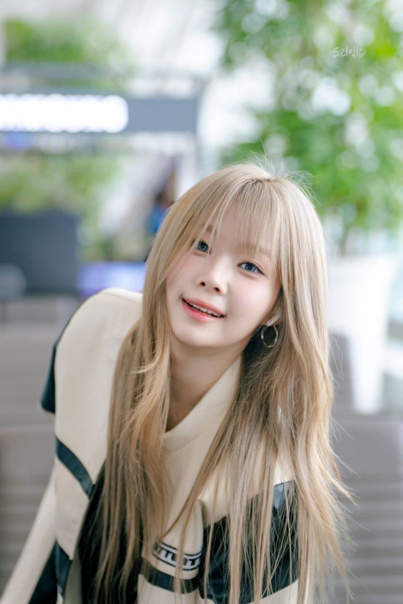 세이마이네임 도희