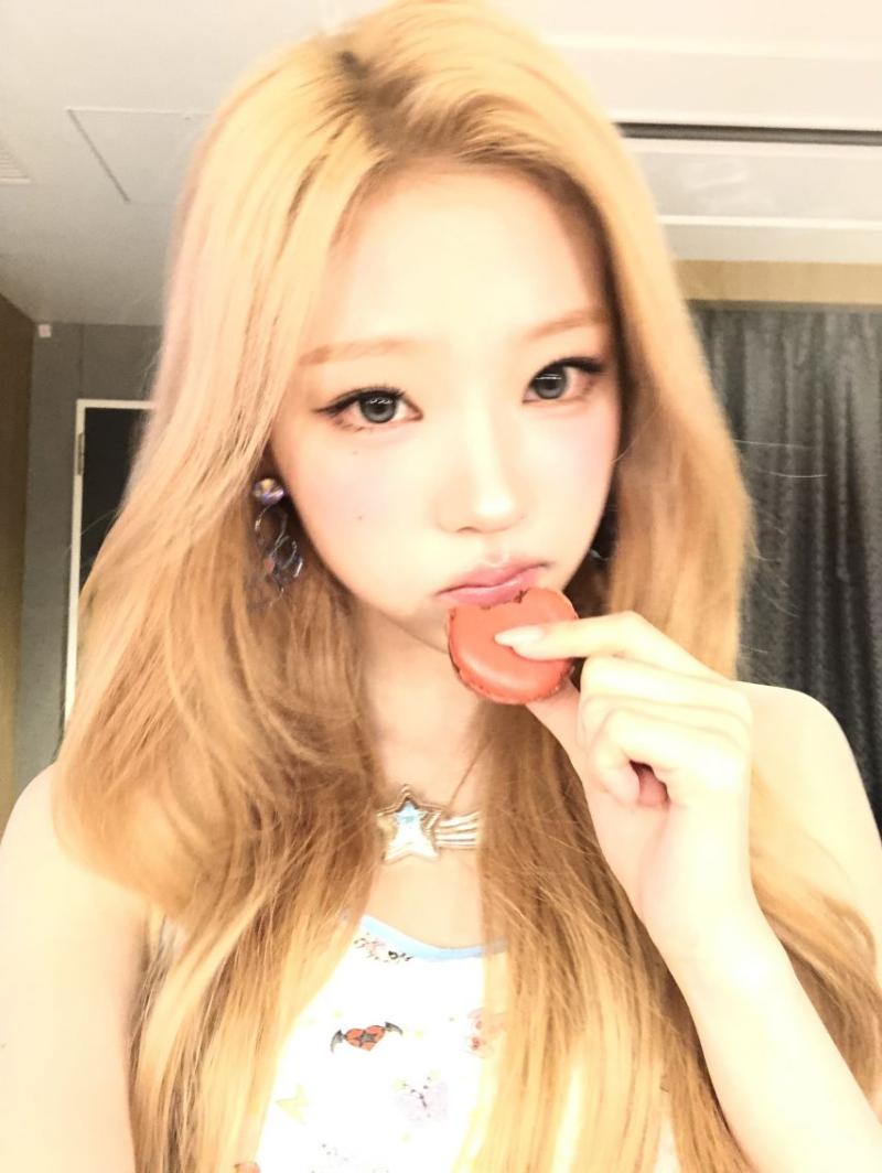 하츠투하츠 스텔라