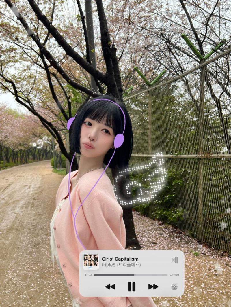 트리플에스 김채원 벚꽃