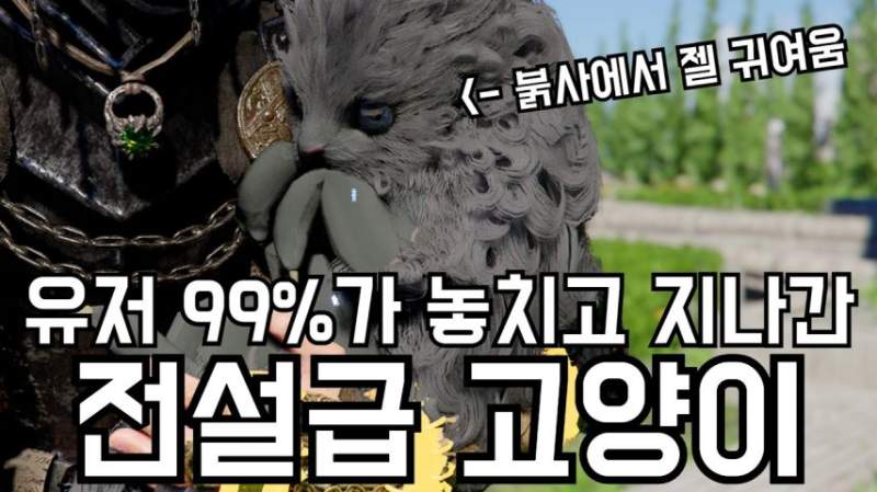 길고양이 냥줍했는데 이유가 심상치 않음(feat.붉은사막)