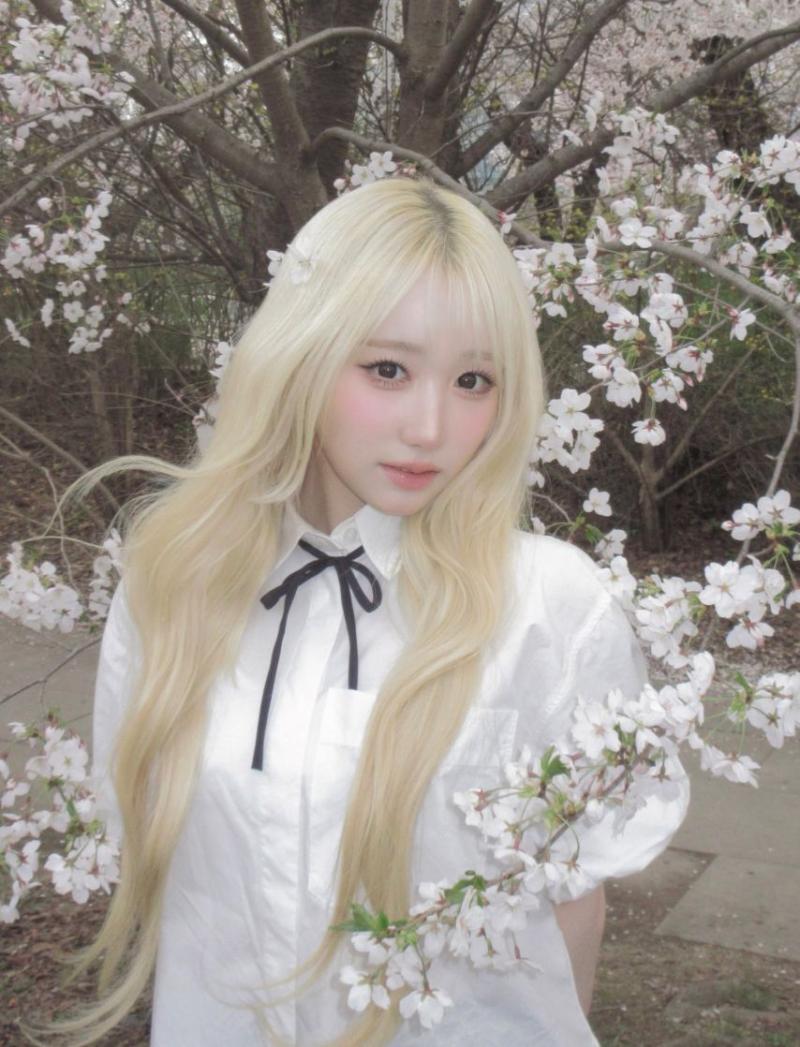 세이마이네임 메이