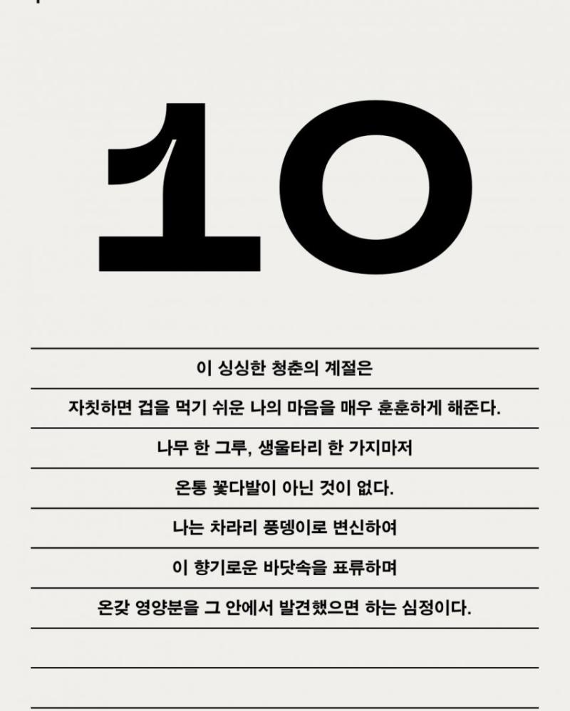 아이브 가을