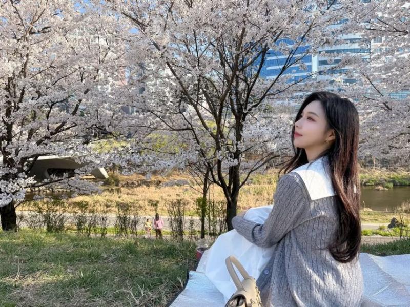 정은혜 아나운서