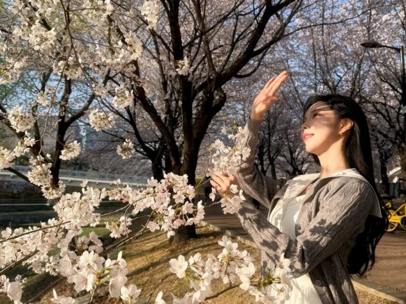 정은혜 아나운서