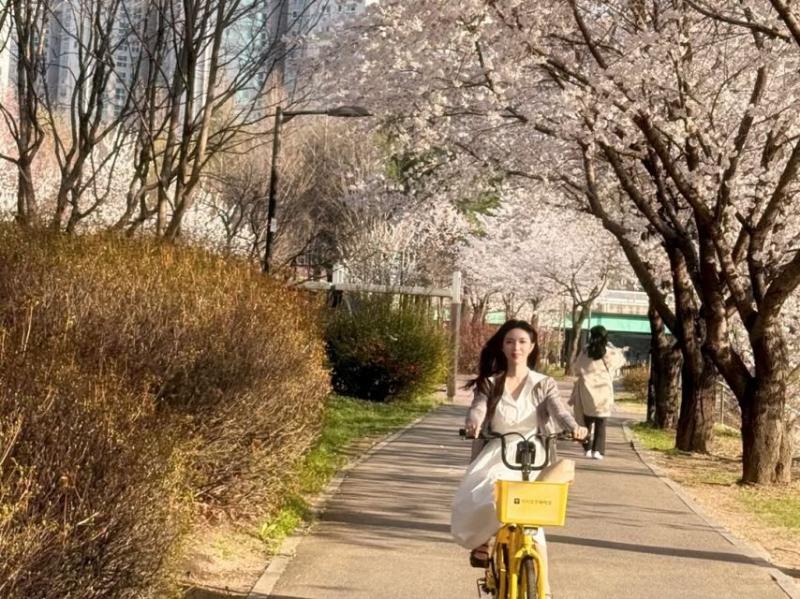 정은혜 아나운서