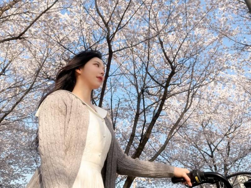 정은혜 아나운서