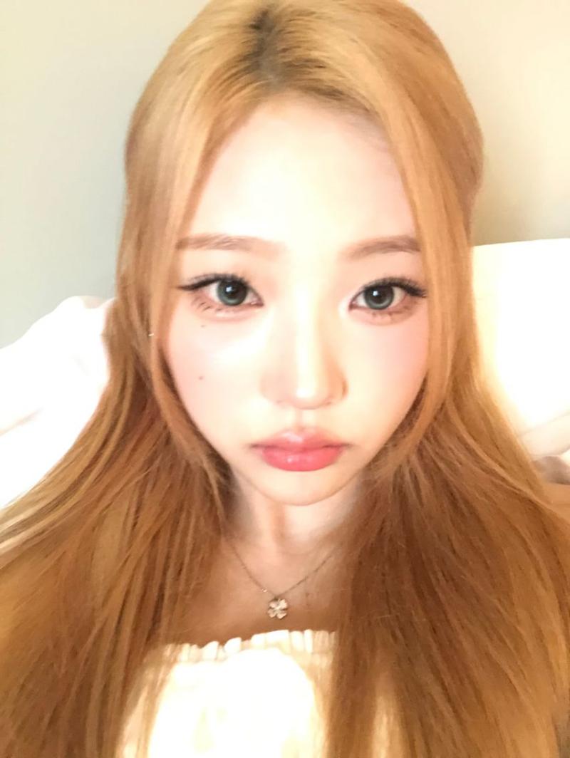 하츠투하츠 스텔라